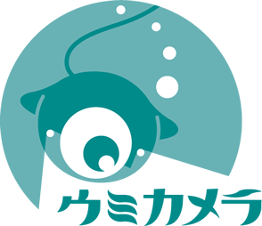 ウミカメラ